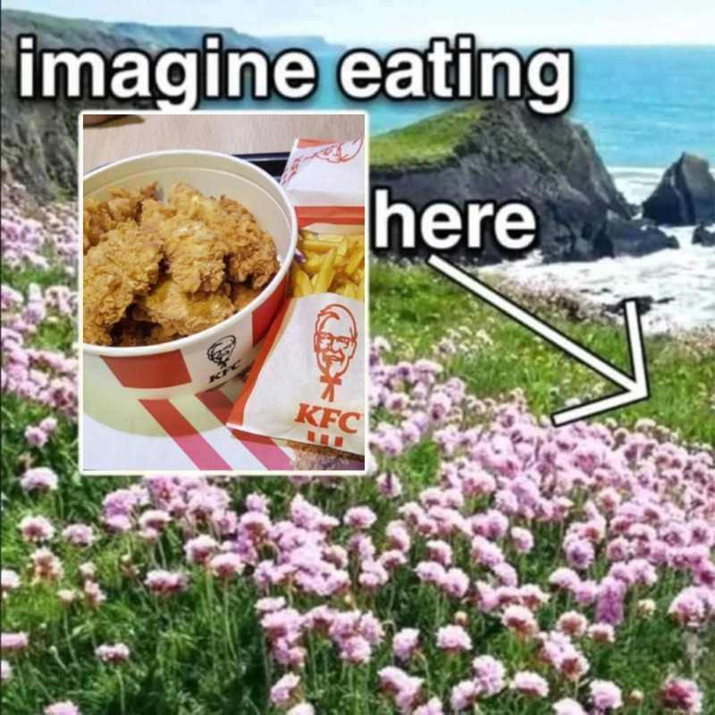 KFC_ES's tweet image. 