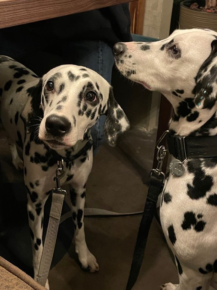 modernlilithh's tweet image. sometimes you don’t have to work hard. all you need to do is work smart.