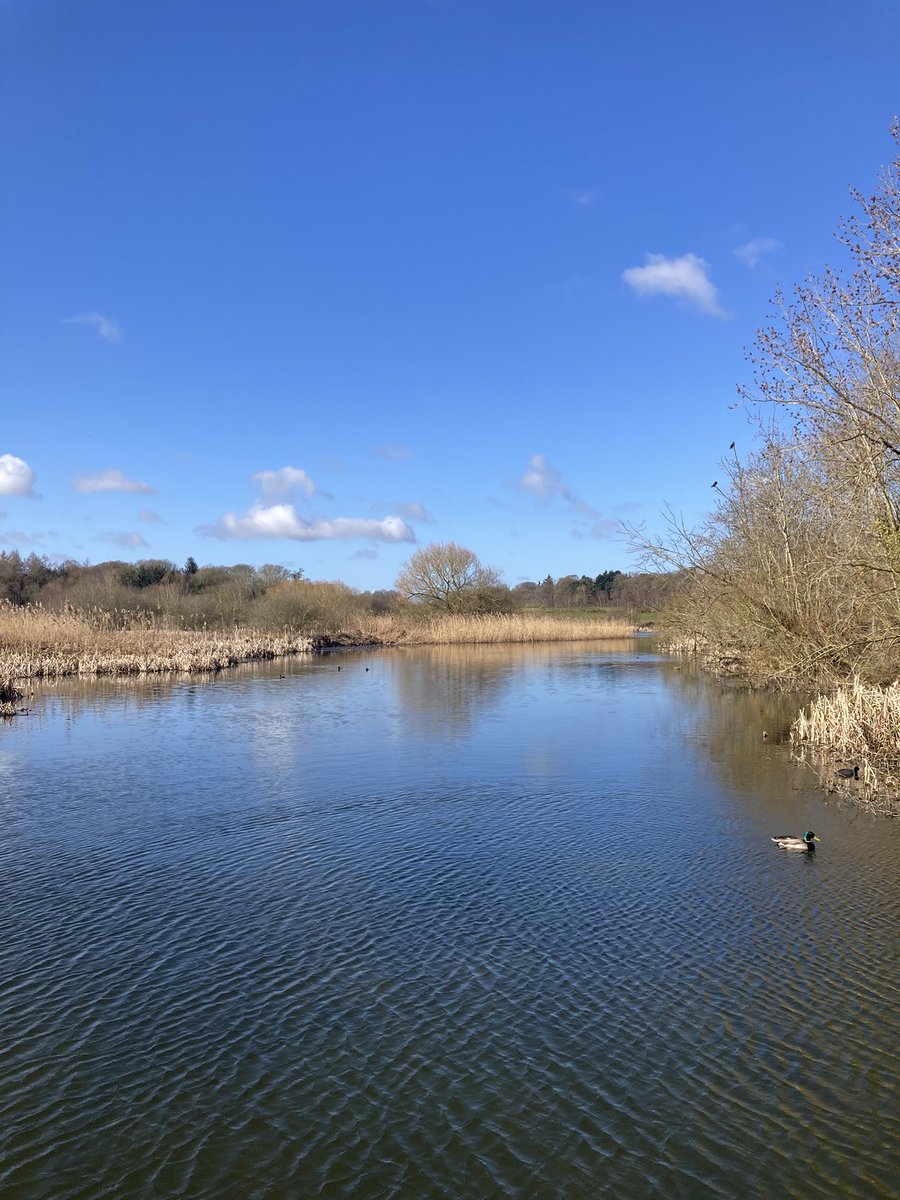 lm_orton's tweet photo. @NTClumberPark a beautiful morning and an 8 mile walk in my favourite place 😍 https://t.co/g3YCb9FC46