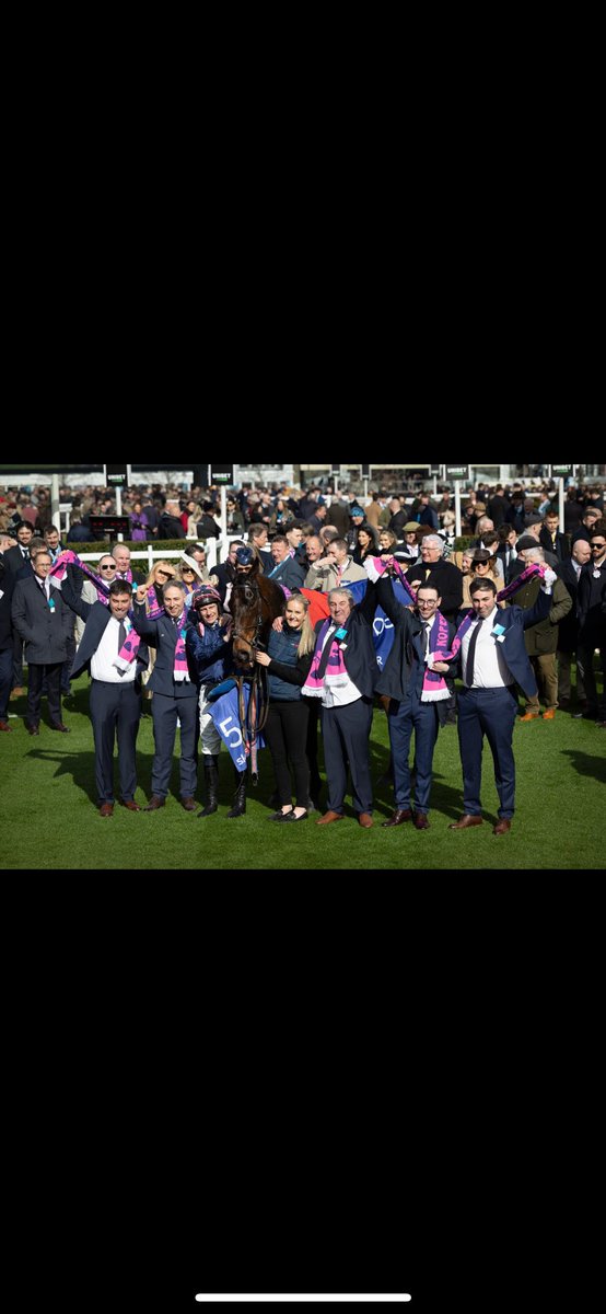 For a horse that couldn’t jump after he’s maiden, can’t handle prelims and won’t do well wearing a hood….he ain’t half had #KopekDesBordes #CheltenhamFestival