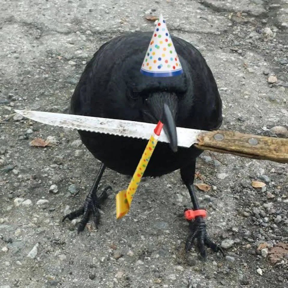 CryptoAgriculturist🐦‍⬛🔪 tweet media