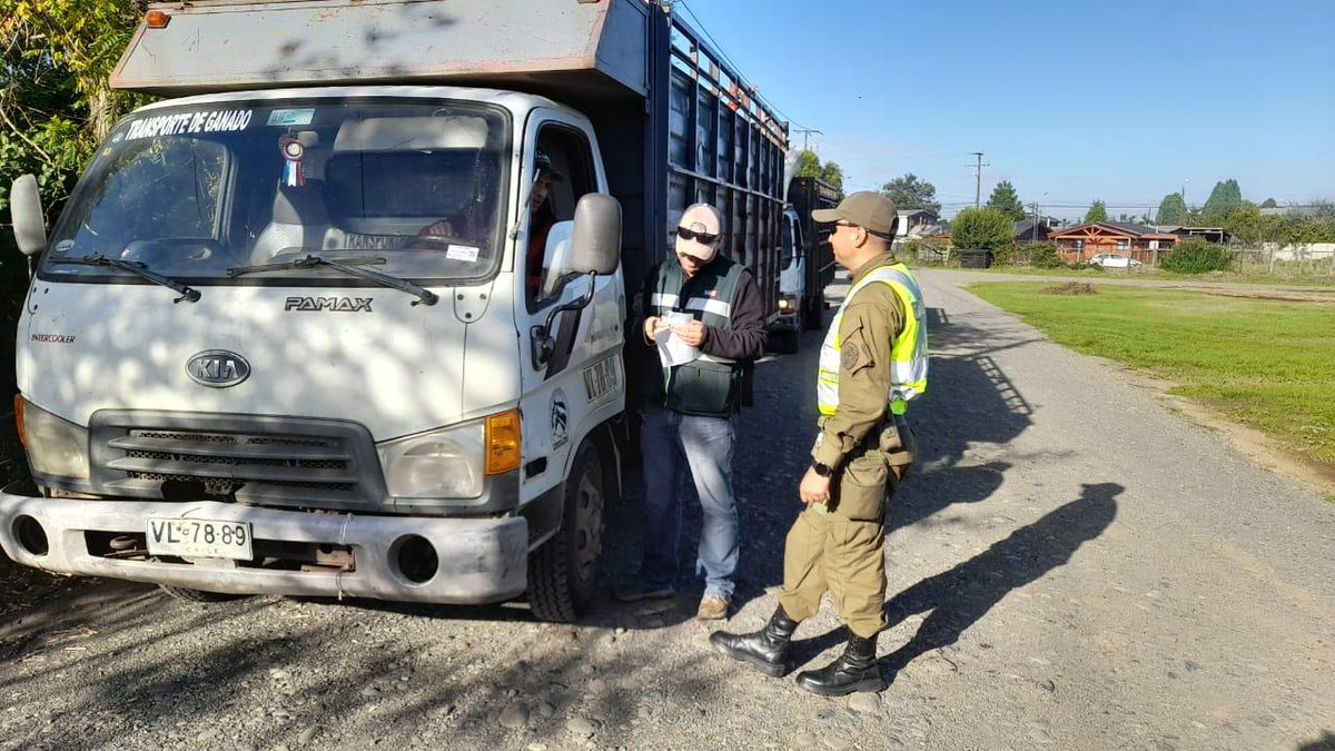 🚨Reactivamos el trabajo Inter sectorial para el control del delito de Abigeato, hoy se realizaron  fiscalizaciones preventivas en ferias ganaderas de Paillaco y Río Bueno junto a <a href="/CarabLosRios/">Carabineros Región de Los Ríos</a> y el <a href="/sagchile/">SAG</a> comprometidos con la seguridad de la región
@subprevdelito 
<a href="/DPRLosRios/">Delegación Presidencial Regional de Los Ríos</a>