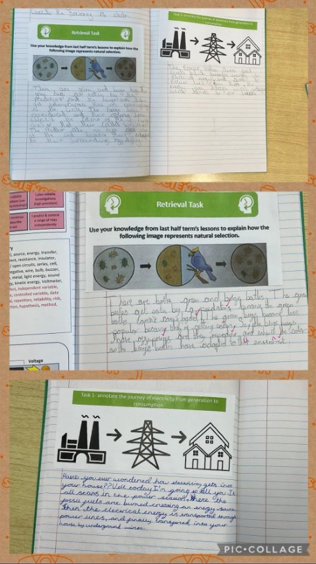 In science, #EastersideYear5and6 have been recapping learning from their previous evolution and adaptation topic before learning about the journey that electricity goes through before it gets into our homes. #EastersideScience