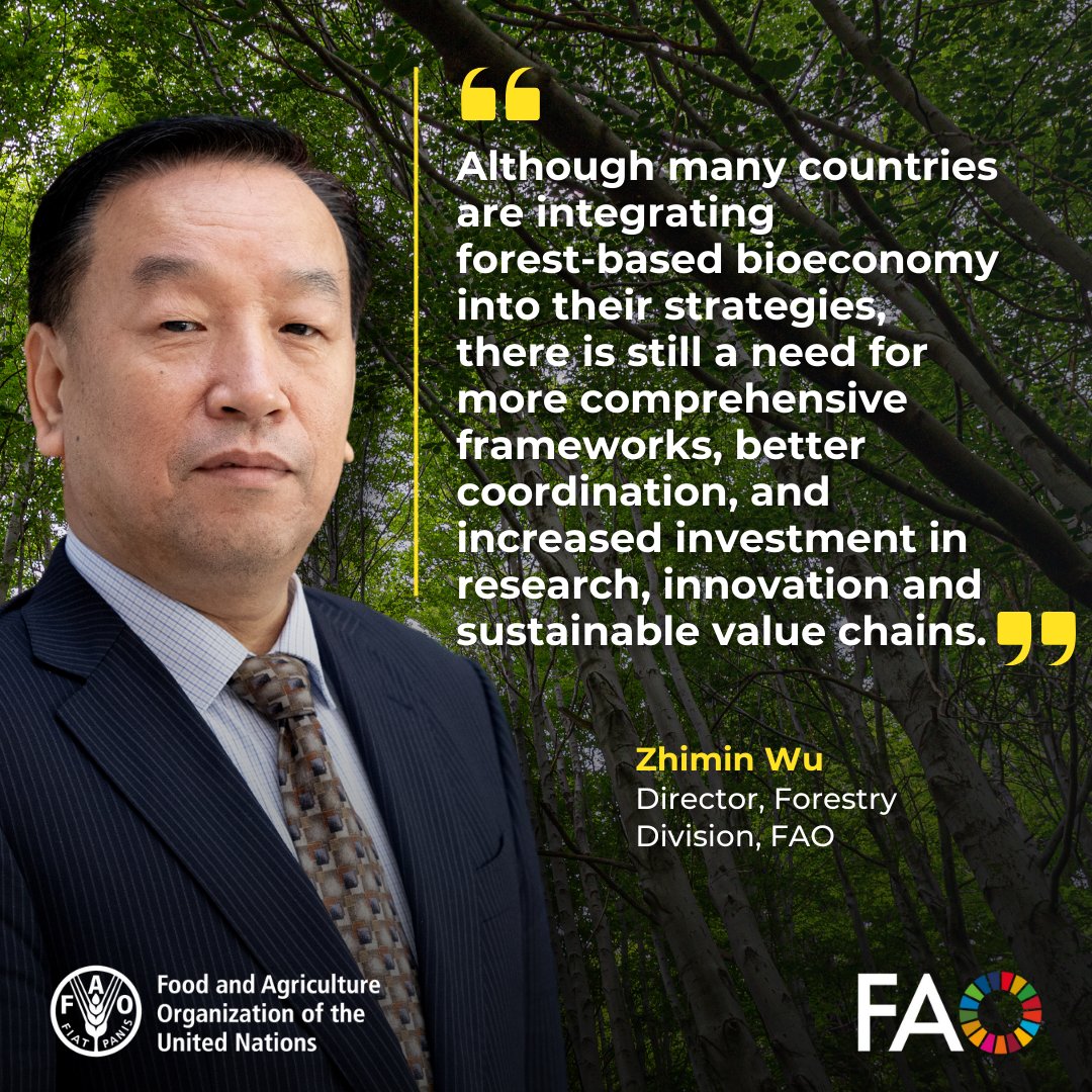 FAO Forestry (@faoforestry) on Twitter photo Many countries are integrating forest-based bioeconomy into strategies, but there is a need for more comprehensive frameworks, better coordination, & increased investment, <a href="/FAO/">Food and Agriculture Organization</a>'s Zhimin Wu tells sustainable forest-based bioeconomy webinar.
<a href="/IUFRO/">IUFRO</a> <a href="/mmm_fi/">MMM</a> @BML_gv_at <a href="/FAOBrussels/">FAO Brussels</a> Many countries are integrating forest-based bioeconomy into strategies, but there is a need for more comprehensive frameworks, better coordination, & increased investment, <a href="/FAO/">Food and Agriculture Organization</a>'s Zhimin Wu tells sustainable forest-based bioeconomy webinar.
<a href="/IUFRO/">IUFRO</a> <a href="/mmm_fi/">MMM</a> @BML_gv_at <a href="/FAOBrussels/">FAO Brussels</a>