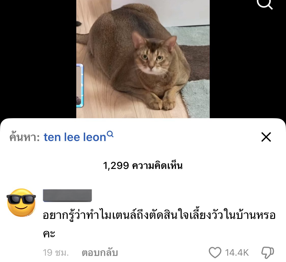 แย่มาก 5555546553655577755