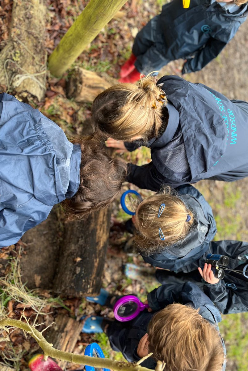 Exploring nature and learning through Forest School! 🌲✨ Everyday is an adventure filled with endless possibilities of discovery and creativity. Where every tree tells a story and sparks imagination📚🧚‍♂️🌼. <a href="/UptonHouseSch/">Upton House School</a>