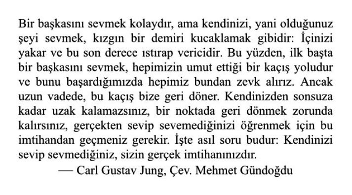 Psikiyatr Carl Jung’un kendini sevmek hakkında yazdığı bir pasajını Türkçeye çevirmiştim. Yeniden paylaşıyorum. İyi okumalar.