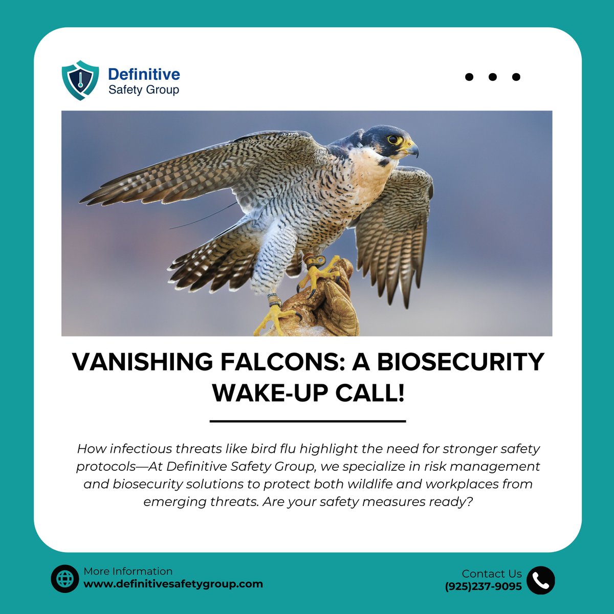 definitivesg's tweet image. Vanishing Falcons: A Biosecurity Warning 🚨

The disappearance of UC Berkeley’s falcons raises concerns about bird flu and biosecurity risks. Are your safety measures ready?

Learn more: 
linkedin.com/company/defini…

#TheDGSWay #BiosecurityMatters #RiskManagement