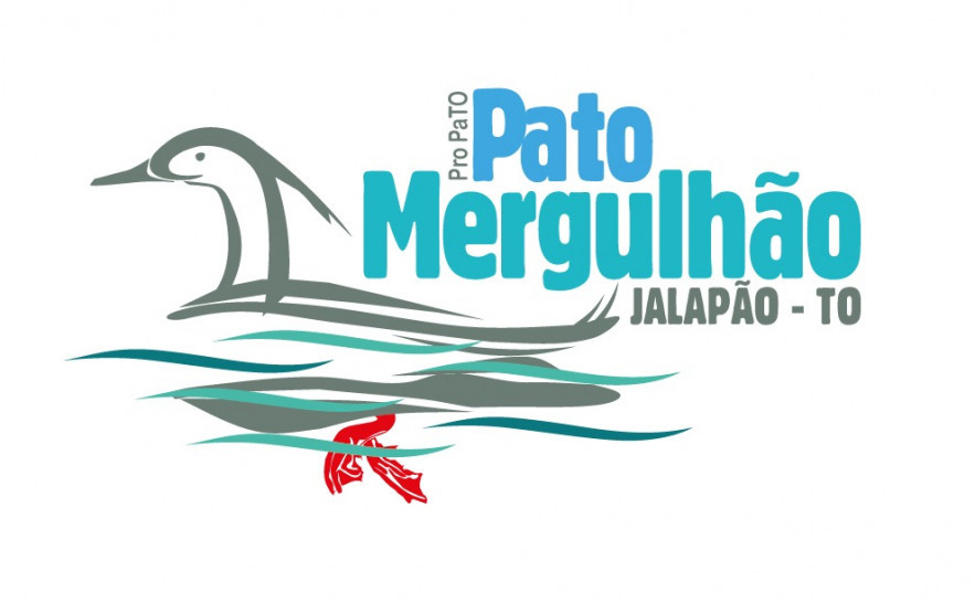 🌳Naturatins reforça a proteção do pato-mergulhão🦆 com novo Programa de Monitoramento e Conservação da espécie

O programa Pro PaTO concentra suas ações na região do Jalapão, 📍 especialmente no Rio Novo

Saiba mais➡️surl.li/gklxge