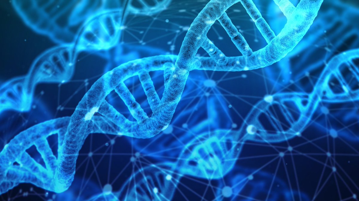 UoM School of Social Sciences (@uomsoss) on Twitter photo 🌟 Our #InternationalWomensDay & #WomensHistoryMonth research spotlight continues with <a href="/lucy_frith/">Lucy Frith</a>'s insightful blog on the questions surrounding current direct-to-consumer genetic testing regulations.
🧬Read her blog here: linkedin.com/pulse/womens-d…
#SoSSResearch 🌟 Our #InternationalWomensDay & #WomensHistoryMonth research spotlight continues with <a href="/lucy_frith/">Lucy Frith</a>'s insightful blog on the questions surrounding current direct-to-consumer genetic testing regulations.
🧬Read her blog here: linkedin.com/pulse/womens-d…
#SoSSResearch