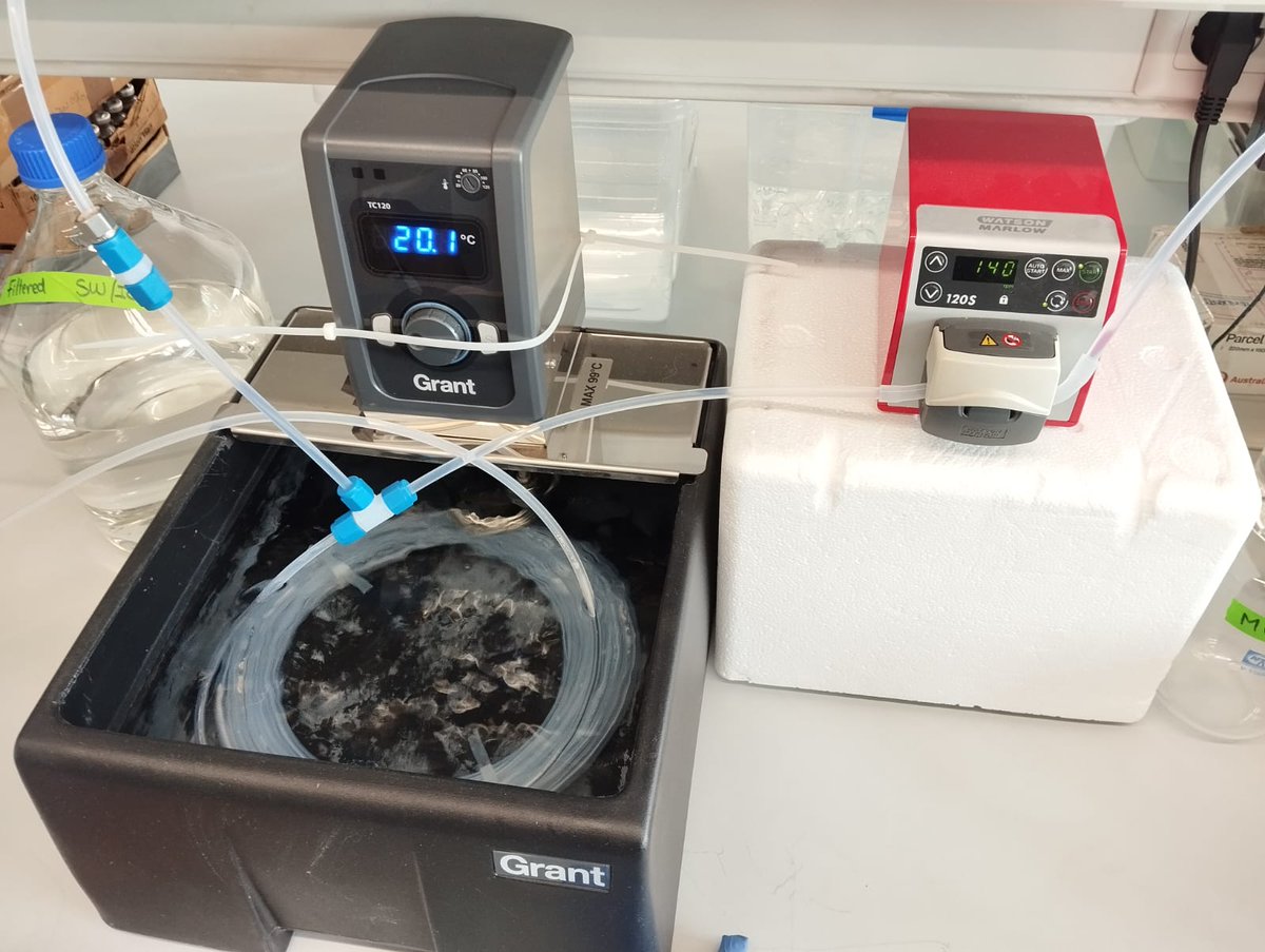 simolab_'s tweet image. Liz Deschaseaux and Lide van Vuuren @simolab_ analyzing volatile compounds from Blanes Bay waters by Segmented Flow Coil Equilibrator coupled to Proton Transfer Reaction time-of-flight Mass Spectrometry (Vocus, TOFWERK)
@tofwerk