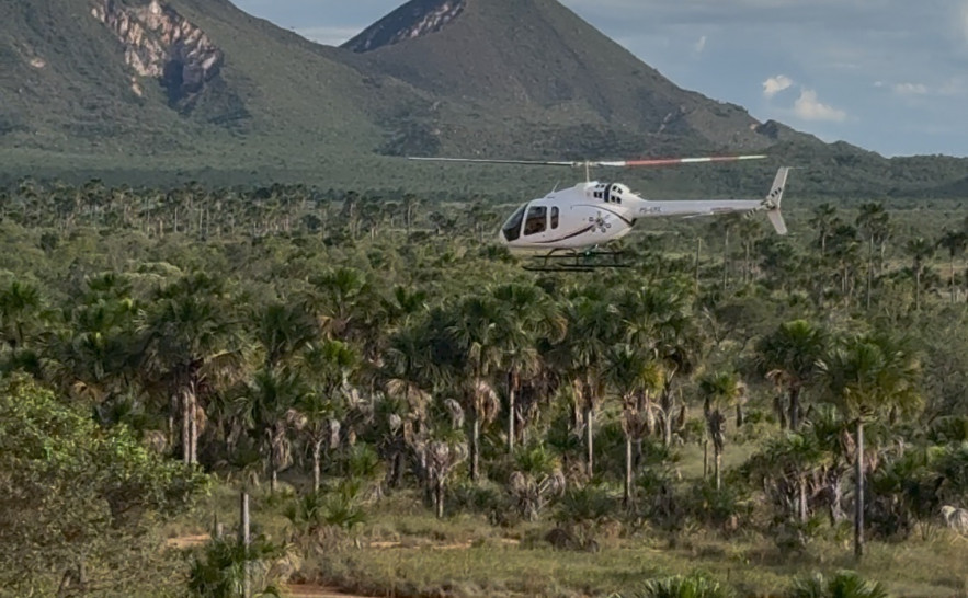 🌳Naturatins investiga crime ambiental após helicóptero pousar ilegalmente nas dunas do📍 Parque Estadual do Jalapão

Além do impacto ambiental ❌ao atrativo, ✈️pouso de aeronave apresenta risco a segurança de turistas👥

Saiba mais➡️surl.li/ywzxsw
