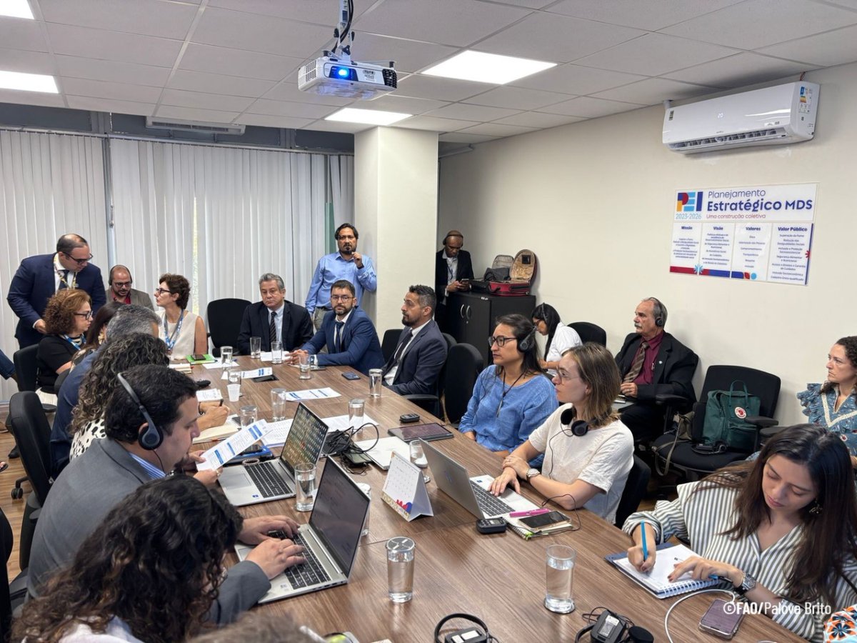 Este martes inició la reunión del comité técnico del nuevo proyecto de <a href="/FAOBrasilCoop/">CooperaciónBrasilFAO</a> 🇧🇷🇺🇳, donde <a href="/FAOAmericas/">FAO Américas</a>, <a href="/ABCgovBr/">ABC-MRE</a> y <a href="/mdsgovbr/">MDS</a> trabajarán juntos para promover sistemas alimentarios urbanos más eficientes, inclusivos, resilientes y sostenibles en países de la región🌎.