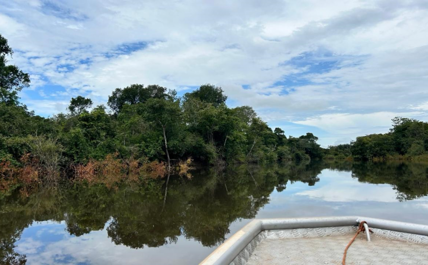 🌳Naturatins conclui plano preliminar de revezamento das captações para gestão sustentável da água na 📍Bacia do Rio Formoso

✅Medida busca garantir equilíbrio entre consumo e preservação durante períodos de estiagem☀️

Saiba mais➡️surl.gd/awgbmq
