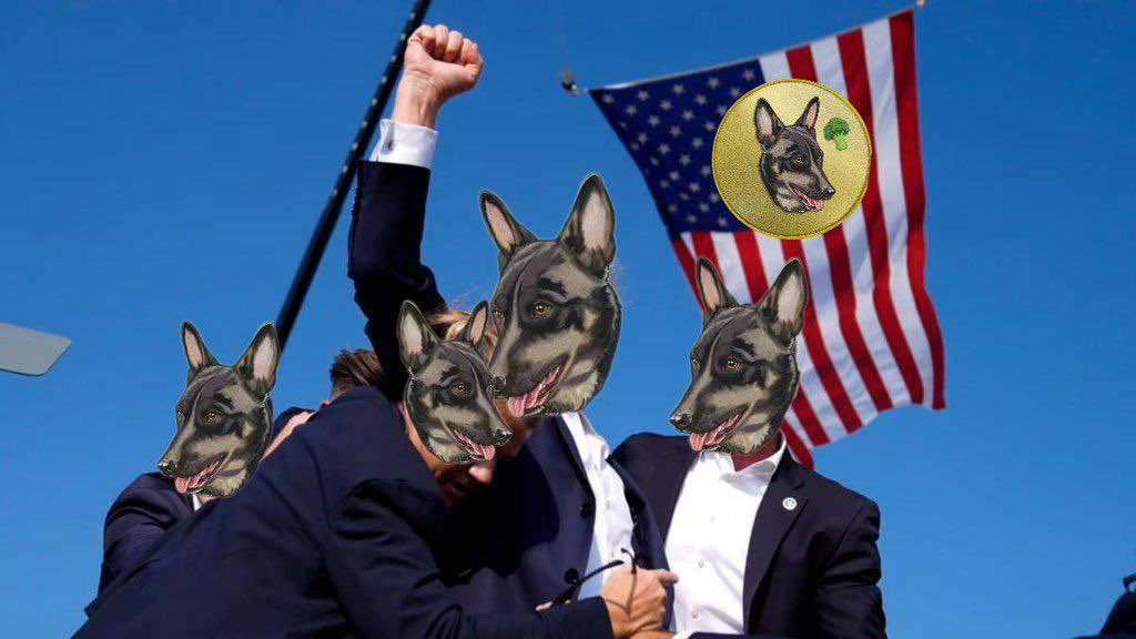 BNB Chain needs its own memecoin, but not just any memecoin…

It needs one that survives every attack. One that thrives under pressure. 
One that keeps growing no matter what.

What’s strong, green, and impossible to kill?

🥦 BROCCOLI. 🥦
- Won the <a href="/BNBCHAIN/">BNB Chain</a> contest 🥇
- It’s