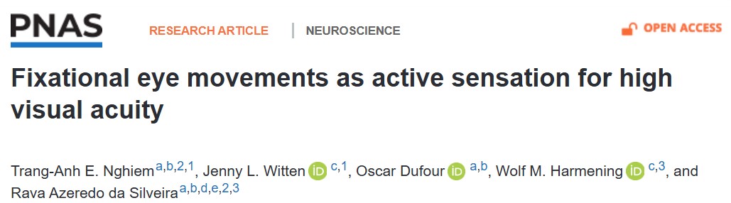 Tiny, random eye movements promote visual acuity: 
pnas.org/doi/10.1073/pn…
With Trang-Anh Nghiem, Oscar Dufour, Jenny Reiniger, and Wolf Harmening.