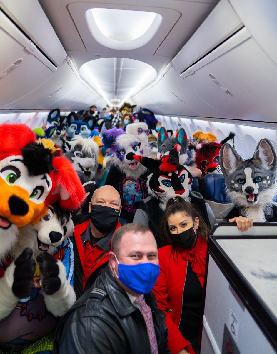 KooperShiba's tweet photo. Still gonna cherish the memories of furry packed flights and awesome staff with the old Southwest ❤️💙 https://t.co/lj3vy4yqHd