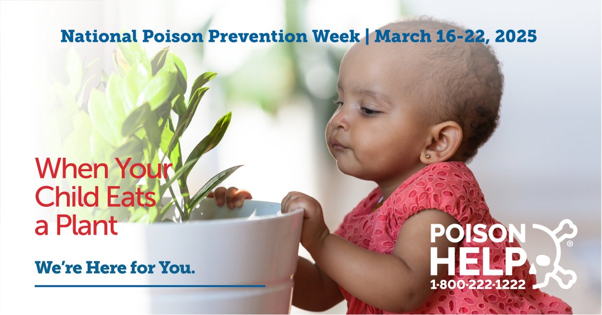 You can prevent poisonings from houseplants by:  🍃 Identifying and removing any poisonous plants in your  home.  🍃 Teaching your children not to eat plants,  berries, or mushrooms. If your child eats a plant, call 1-800-222-1222 #NPPW25