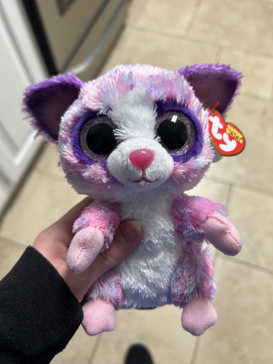 Nixie7021's tweet photo. MY MAMA SURPRISED ME WITH A CUTE BEANIE BABY 🥹🥹🥹🥹🥹🥹
Her name is Becca ✨ https://t.co/2FSSdTy9oy