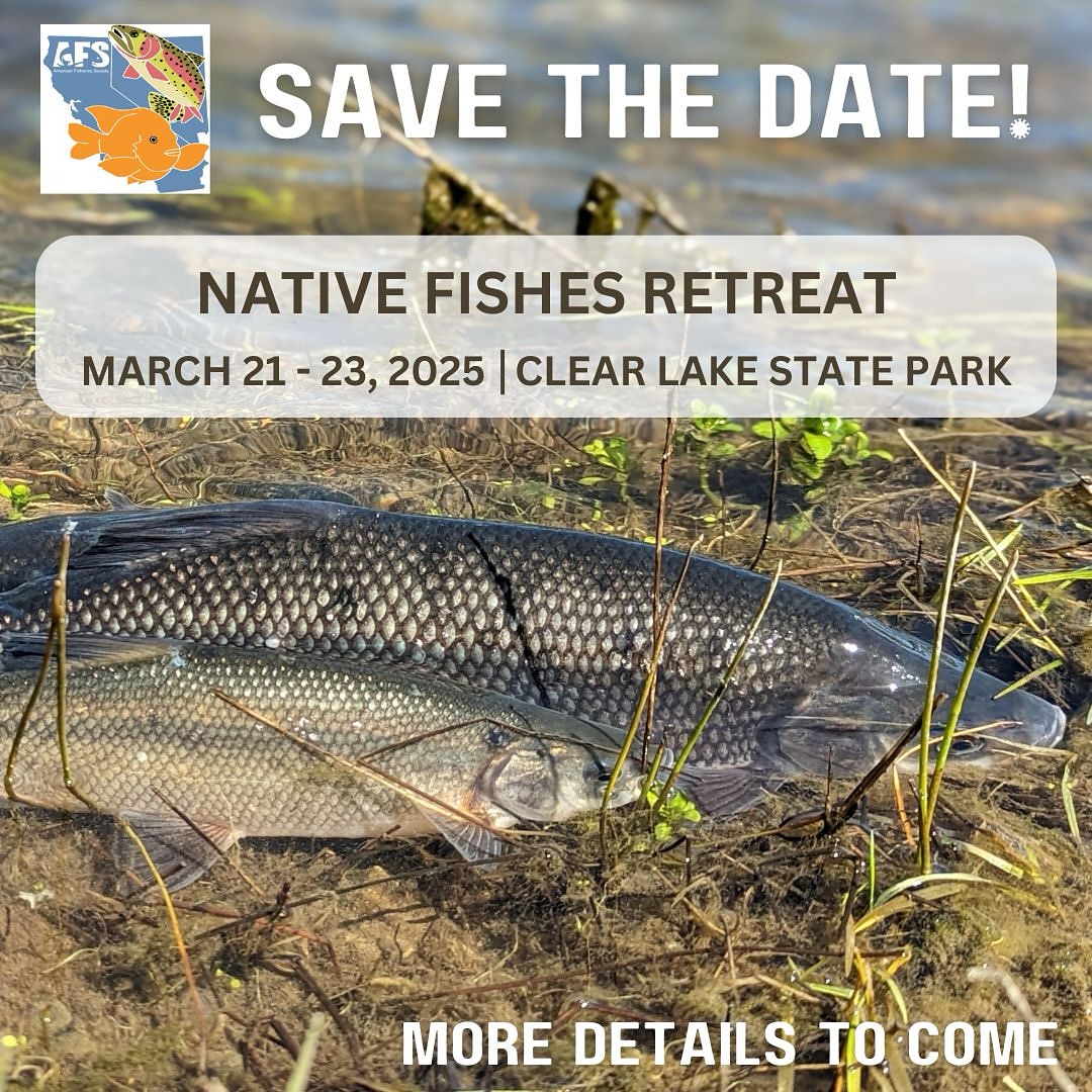 Cal-Neva AFS (@calnevaafs) on Twitter photo Link in bio to sign up! Questions? email afs.calneva@gmail.com #afs #calnevaafs
#calneva #fisheries #fisheriesmanagement Link in bio to sign up! Questions? email afs.calneva@gmail.com #afs #calnevaafs
#calneva #fisheries #fisheriesmanagement