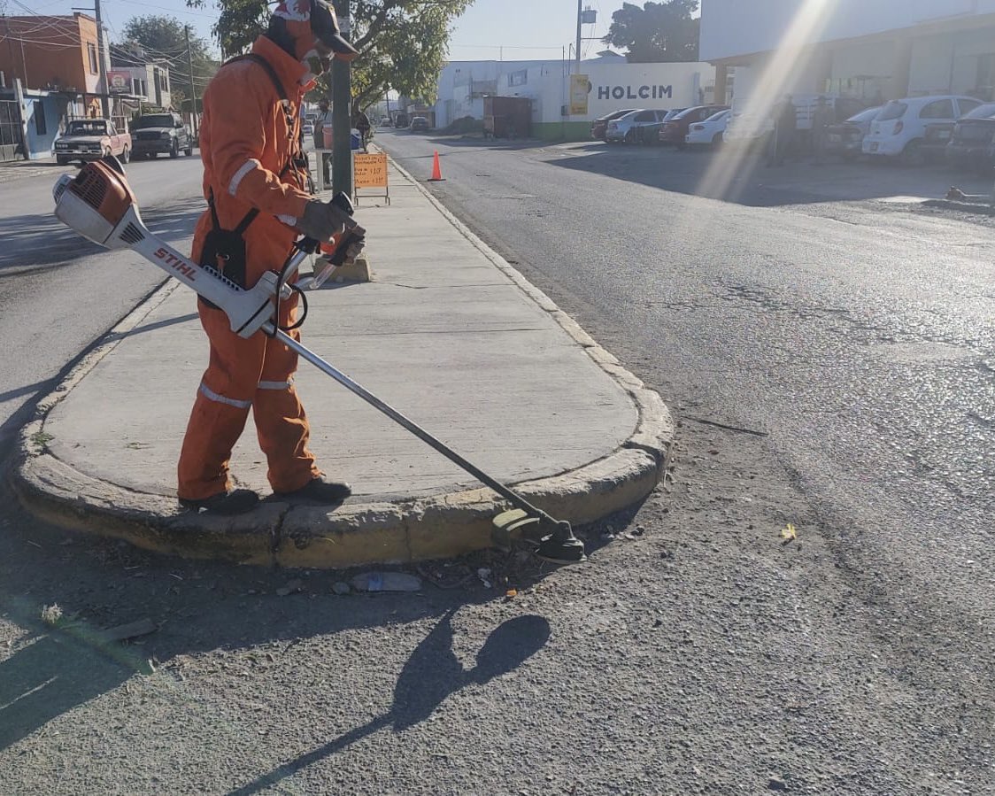 Realizamos trabajos de limpieza y habilitación de vialidades en:

📍 Av. Zeferino Fajardo
📍 Av. Carlos Adrián Avilés
📍 Camellón y laterales de Av. 16 de Septiembre, desde el cruce con Carlos Adrián Avilés hasta el Panteón de la Cruz

¡Seguimos mejorando nuestras calles para ti!