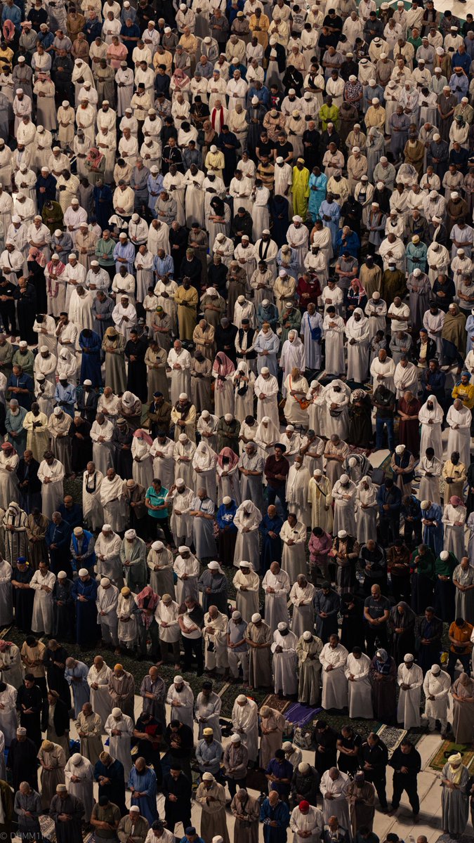 "فِرُّوا إلى اللهِ من خَيباتِ أنفُسِكُم 
ما أقربَ اللهَ .. لا بابٌ ولا حُجُبُ"