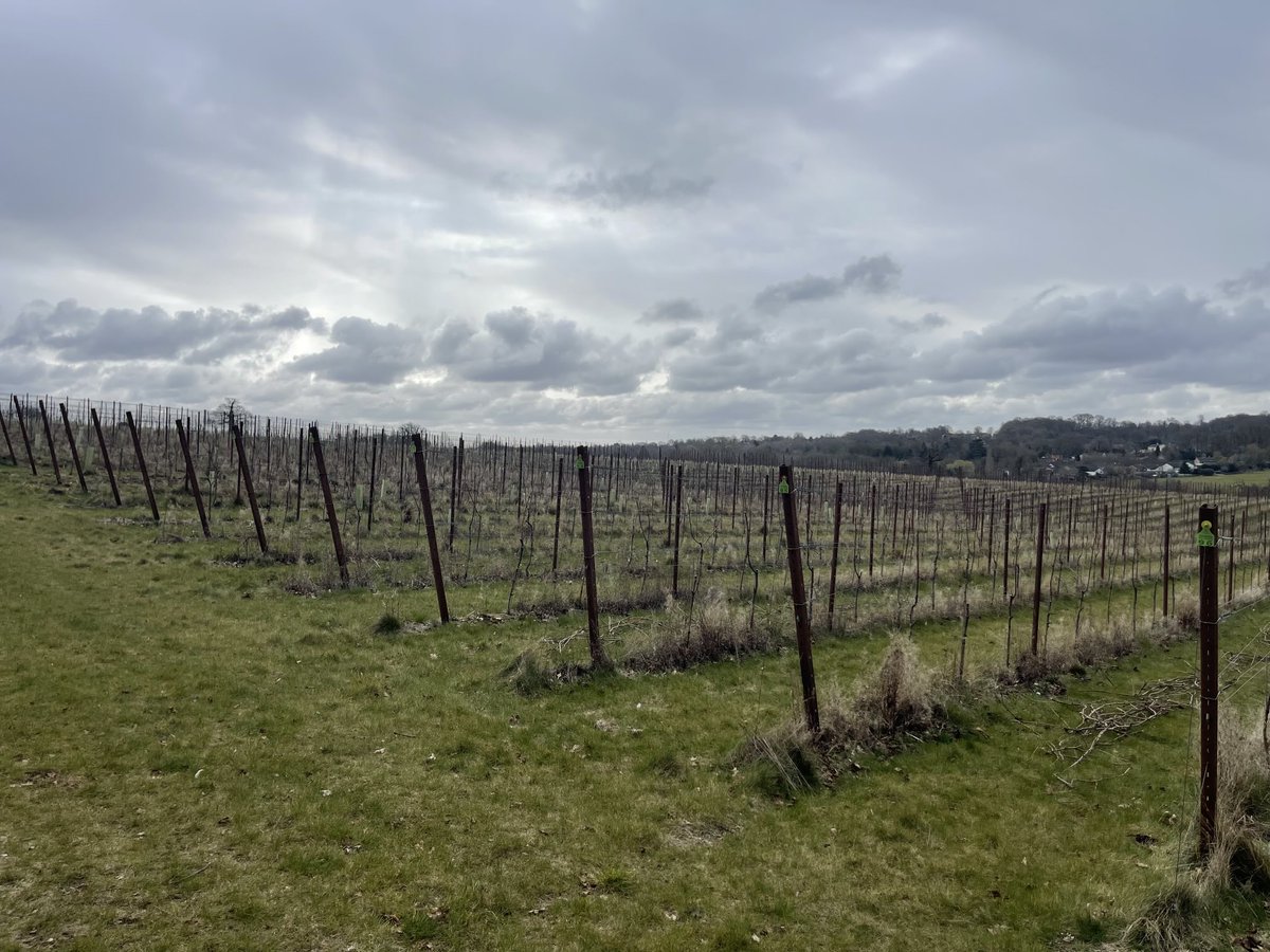 The Lord-Lieutenant of Hertfordshire tweet media