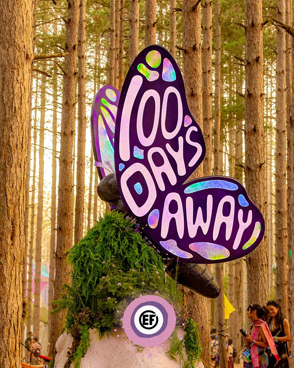 Electric Forest ⚡🌲 tweet media