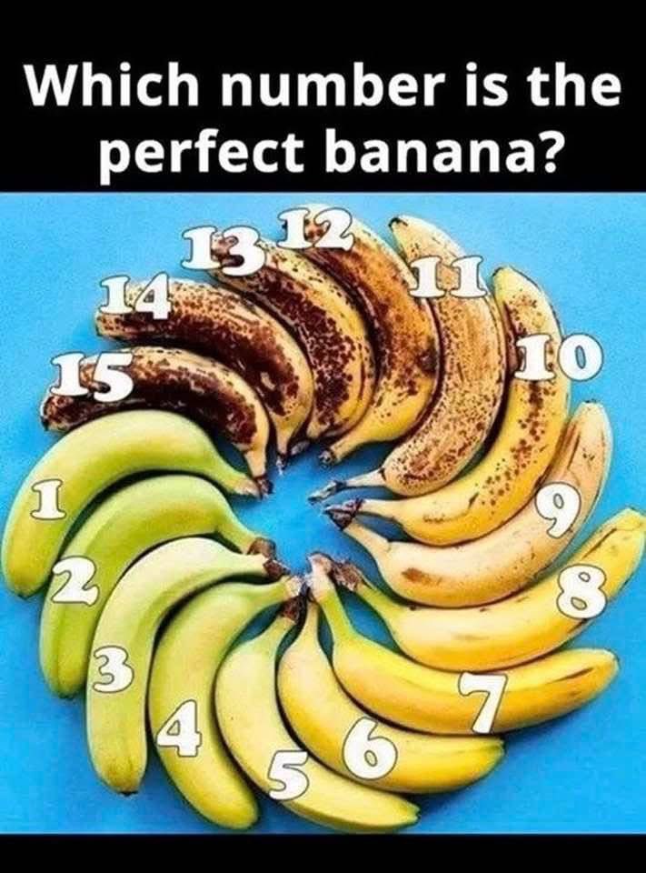 Einar hyggelig ung mann. Nano-Influencer tweet media