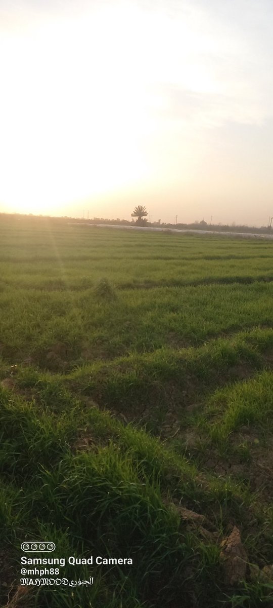 اقدس التاريخ الذي جمعني بك