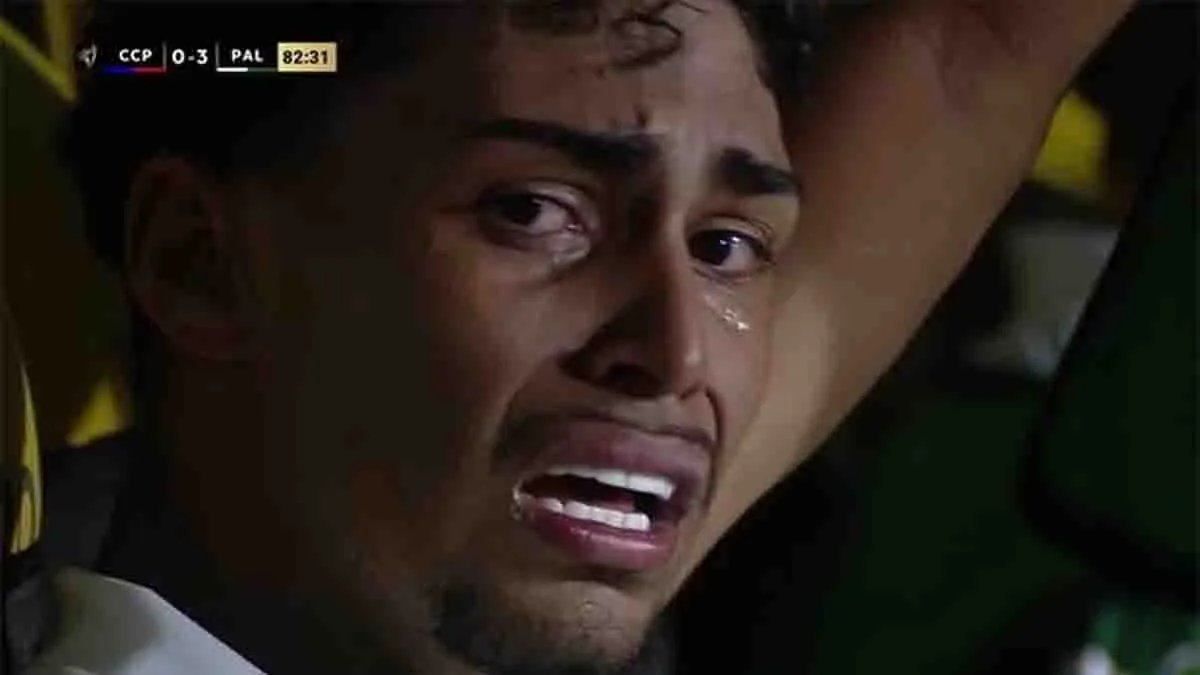 delpynews's tweet image. ▶️DURÍSIMO | ​​​​​​​​​​​​😱

Carlos Gamarra dijo que hay una "generación muy sensible" tras la polémica con el jugador brasileño en la Libertadores Sub-20.

🗣️​​​"Vi las imágenes, hubo una provocación del jugador y una reacción lógica del hincha. Para jugar al fútbol, hay que…