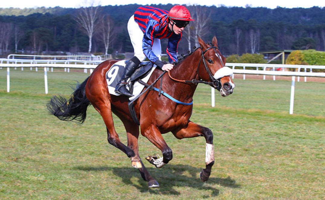 Premier 3 ans en piste pour l’écurie en 2025, Champlatreux dévoile de jolis moyens en s’imposant en solitaire avec <a href="/renardanthony7/">renard anthony</a> . Bravo à son entourage et à toute l’équipe 🎉