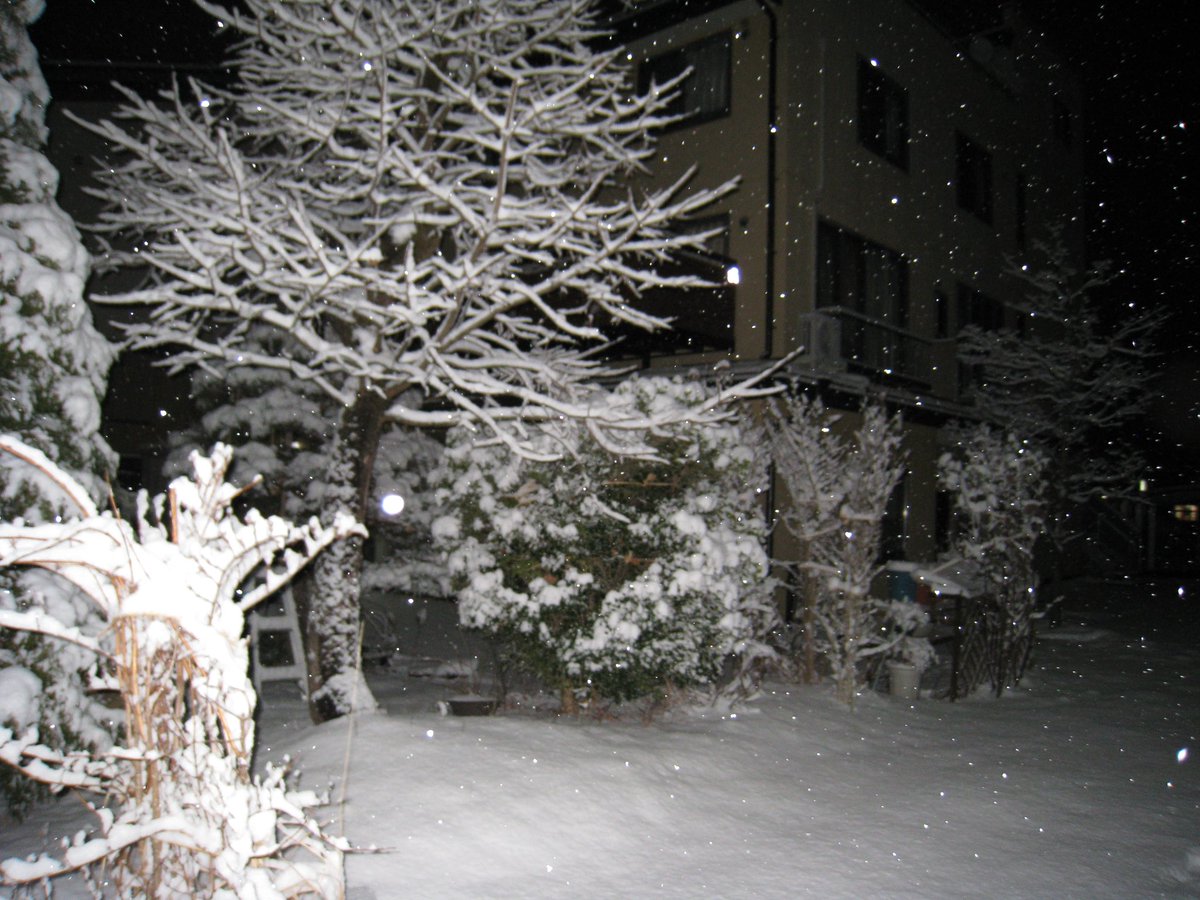 imnoturiya's tweet photo. 나고야 ☃︎ ❄︎ https://t.co/kNx09sG6om