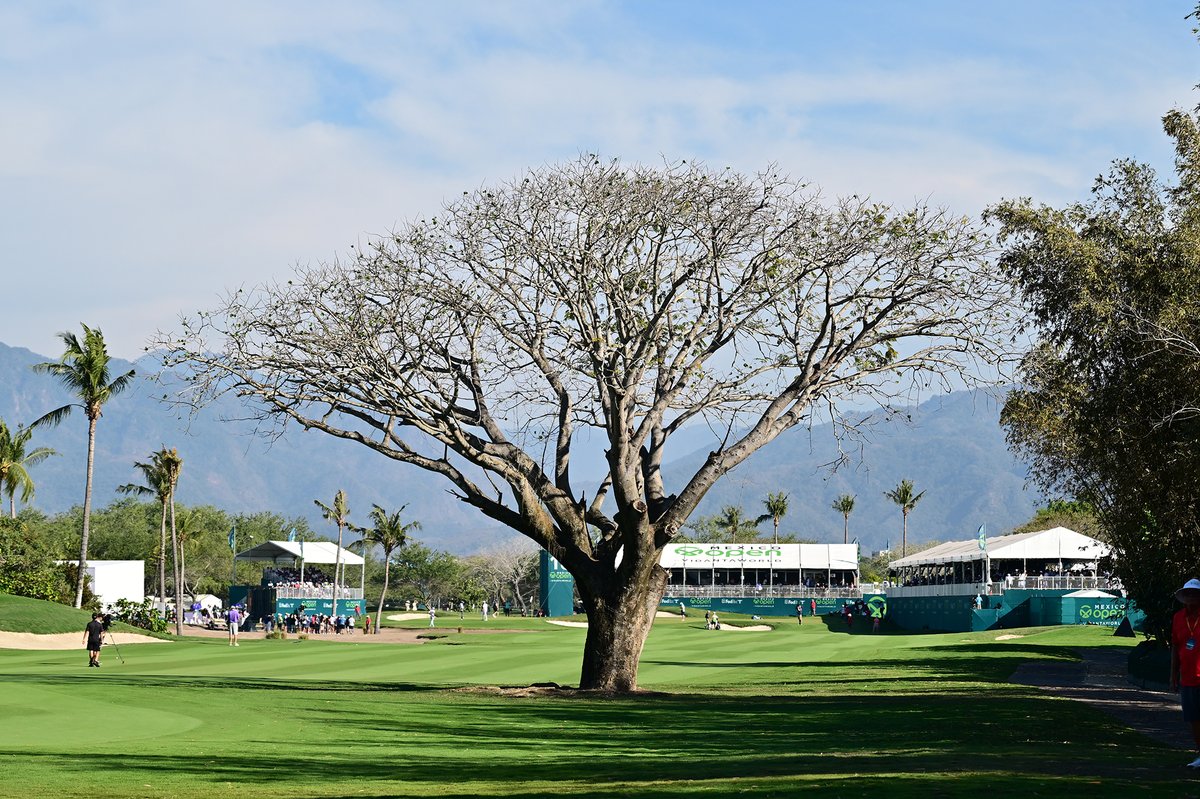 Mexico Open at VidantaWorld tweet media