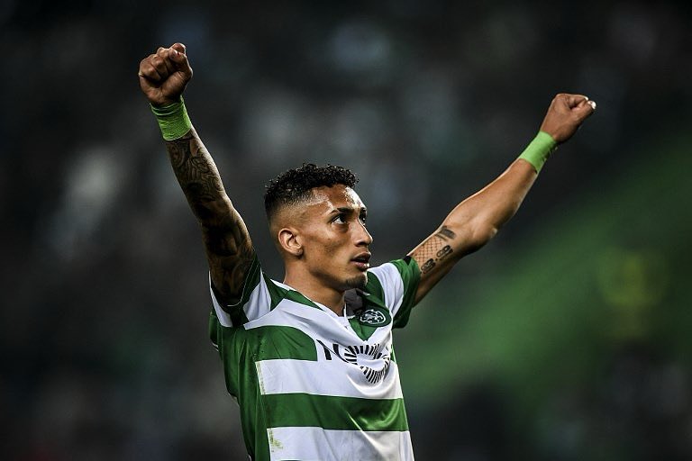 O pai da rabolhagem 🦁