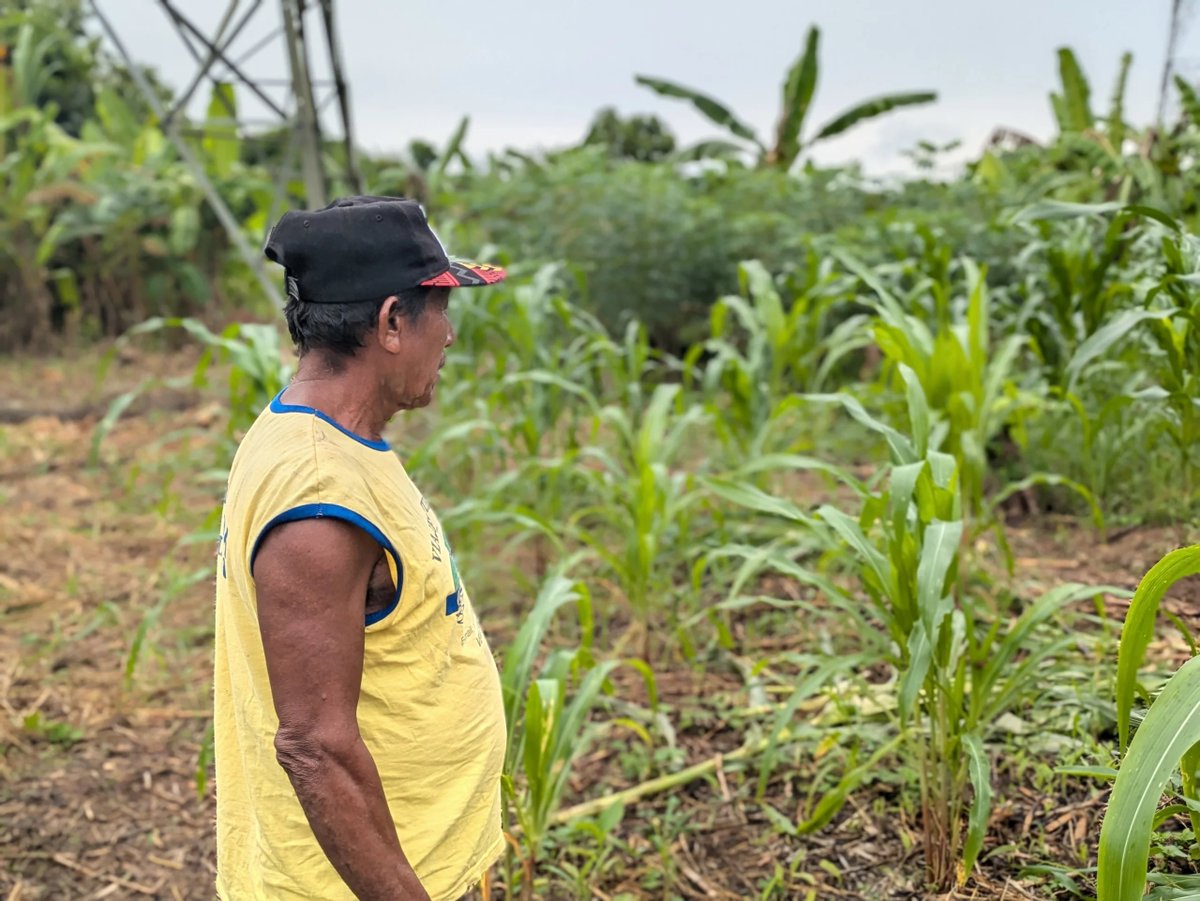 ReporteYa's tweet photo. #11Mar #Bolívar #Waraos 
Antes, los waraos sobrevivían de la pesca y la siembra de ocumo, maíz y arroz en los caños del Delta. Pero la falta de combustible y el deterioro ambiental han forzado su migración a ciudades, donde enfrentan explotación y mendicidad. - @CorreodelCaroni https://t.co/iYcvtD1S1q