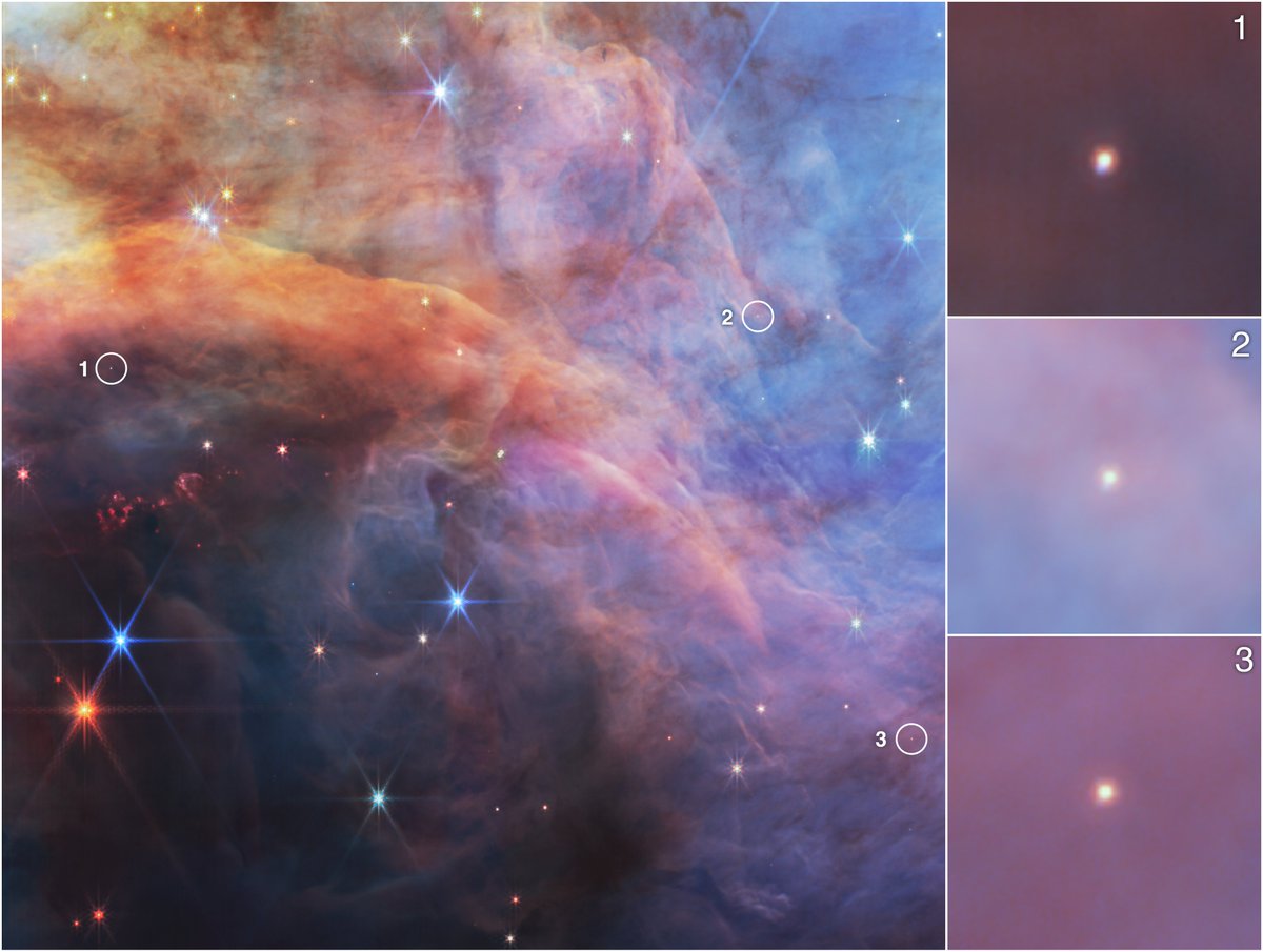 latestinspace's tweet photo. New James Webb telescope image shows various celestial bodies within the Flame Nebula 😲 https://t.co/IWHmUUIFkB