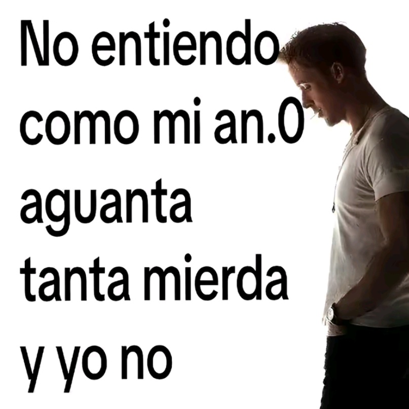 danini ✶ tweet media