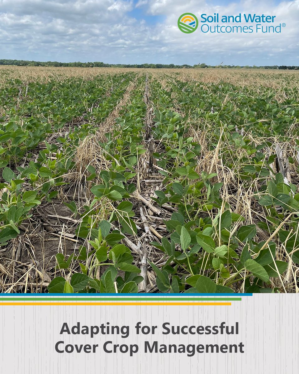Successful #covercroptermination takes planning—but adaptability is key! Small tweaks in herbicide application &amp; adjuvant choices can make all the difference for control. For #TuesdayAgTips, SWOF's Brogan Schanz shares lessons from the field. 👉 Read more: bit.ly/3DIcfht