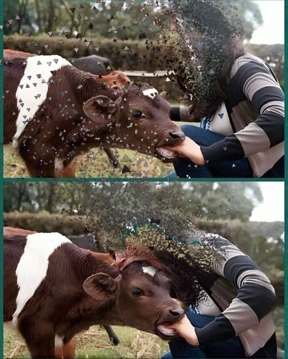 طلب مني زوجي أن أذهب معه لشراء خروف العيد بحكم خبرتي كطبيبة بيطرية سأعرف إن كان الخروف بصحة جيدة أم لا وهل

منتفخ بسبب شرب الماء بالملح أم إنه سمين وملئ باللحم حقا ذهبنا لأحد التجار القريبين من المنزل وكان يمتلك الكثير من الخراف ويضع امامهم الماء والطعام أخذت أتفحصهم بعيون

خبيرة