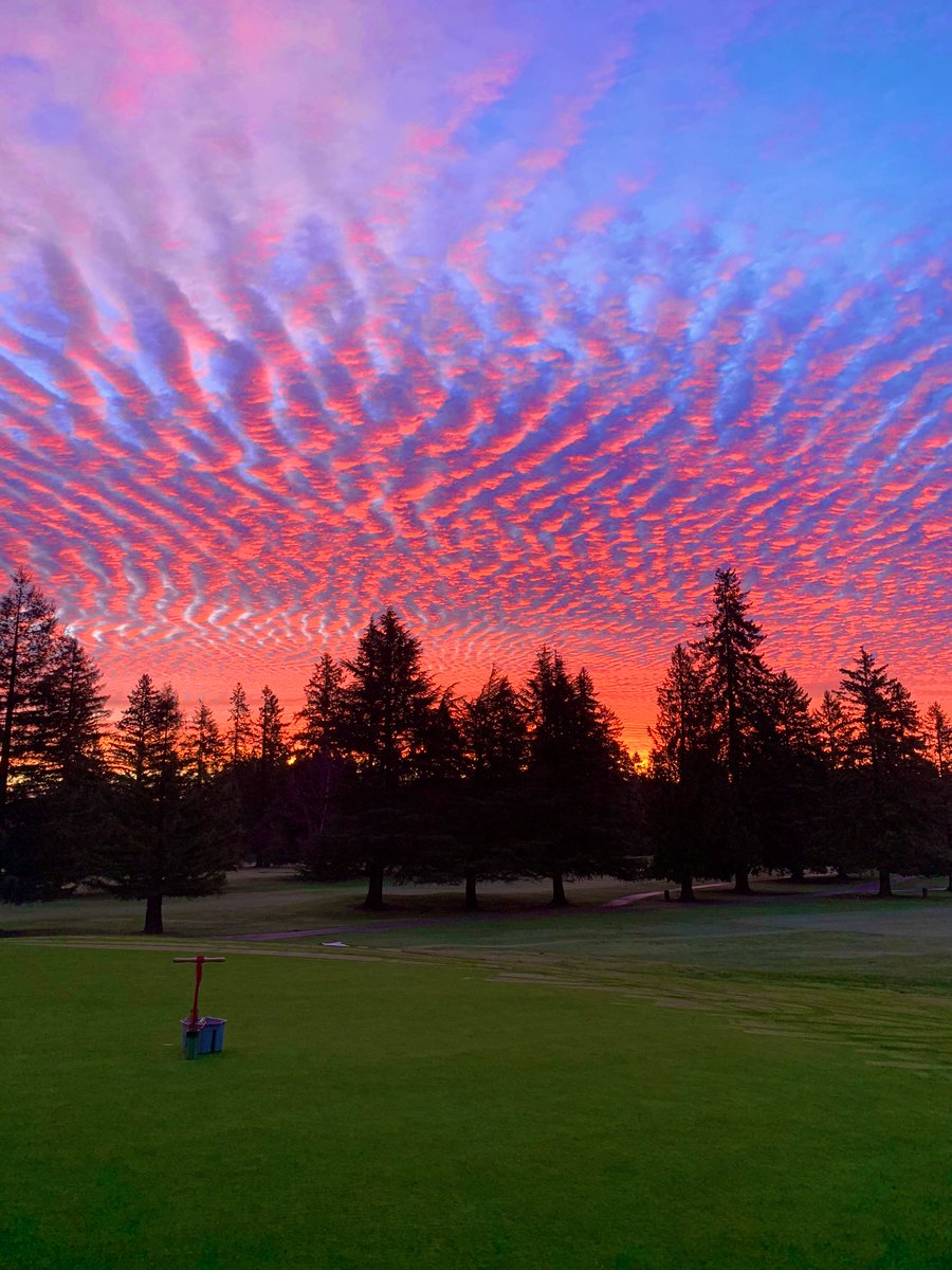 Matthew Stenhouse tweet media