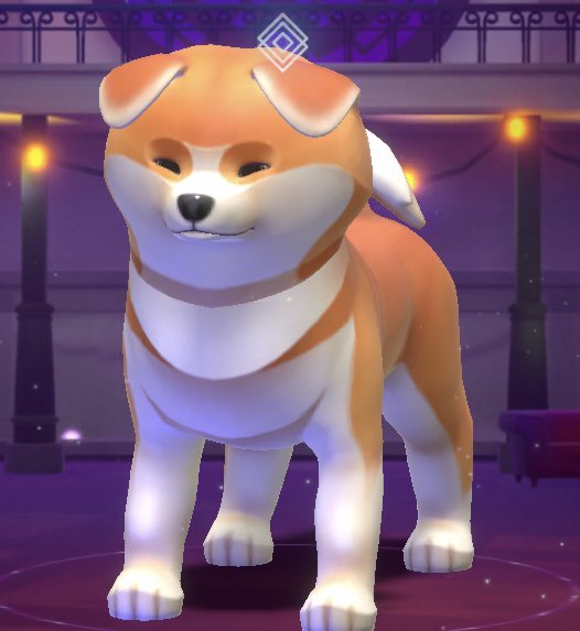 Md Jibonuzzaman tweet media