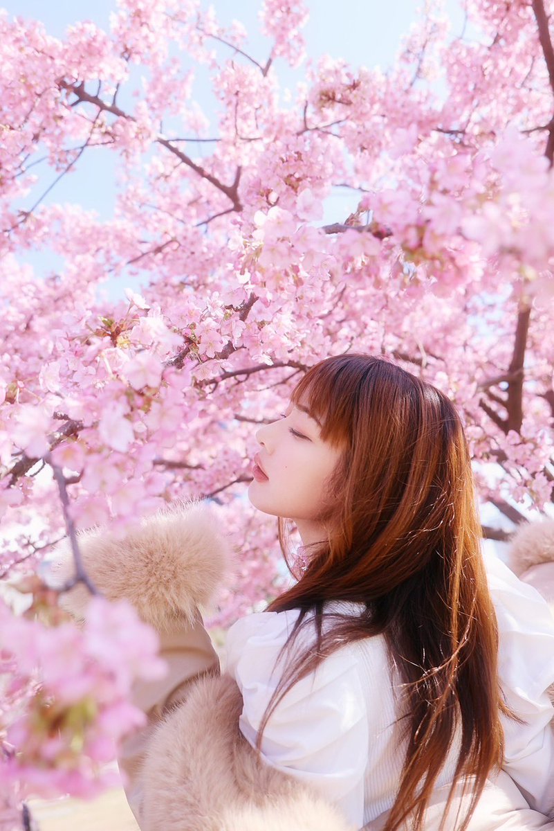 junmizukawa0's tweet photo. 🌸🌸 https://t.co/Dax8CFH3CB