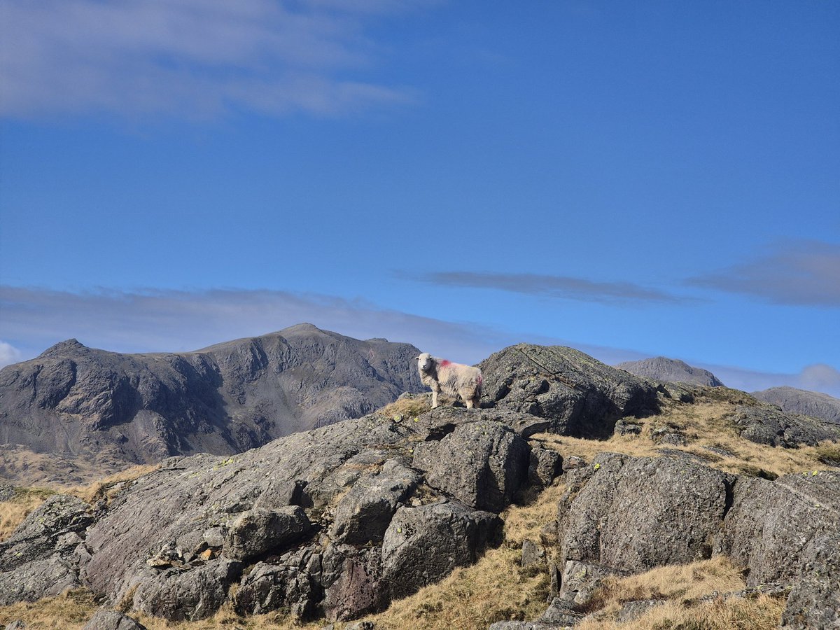 Hard Knott 116/214 ⛰️✅️

Happy annual leave ✌️🌞