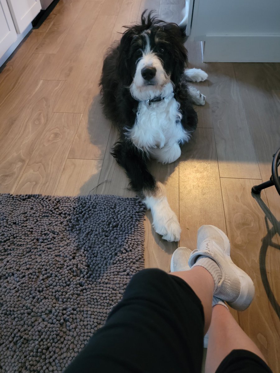 K9 Clubhouse is Closed 🚫
I got my mental, emotional and physical exercise today💪
I hope Jesus blesses me with another day✨️
Because I got some big ass plans that I need to see through😜🤣😂🤭🤗
