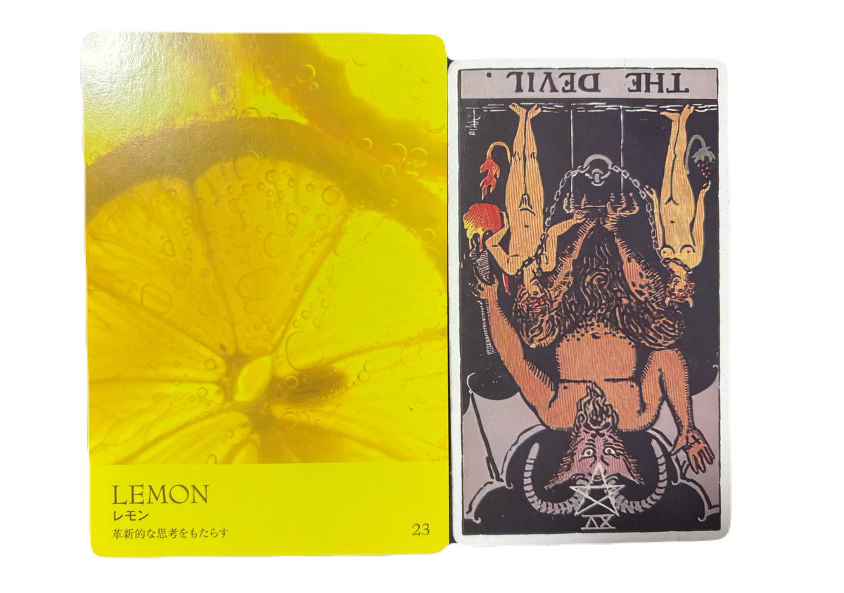 《今日のメッセージ🔮》
現状から改善して解放される日☝️

凝り固まっていた思考を手放す事で、
新たな思考に気づけるかも？！

あなたが執着しているものは
本当に必要？

新たな恋へ向かう人もいるかも?!

彼と気まづくなっている人は
素直に自分から謝ってみてね💕