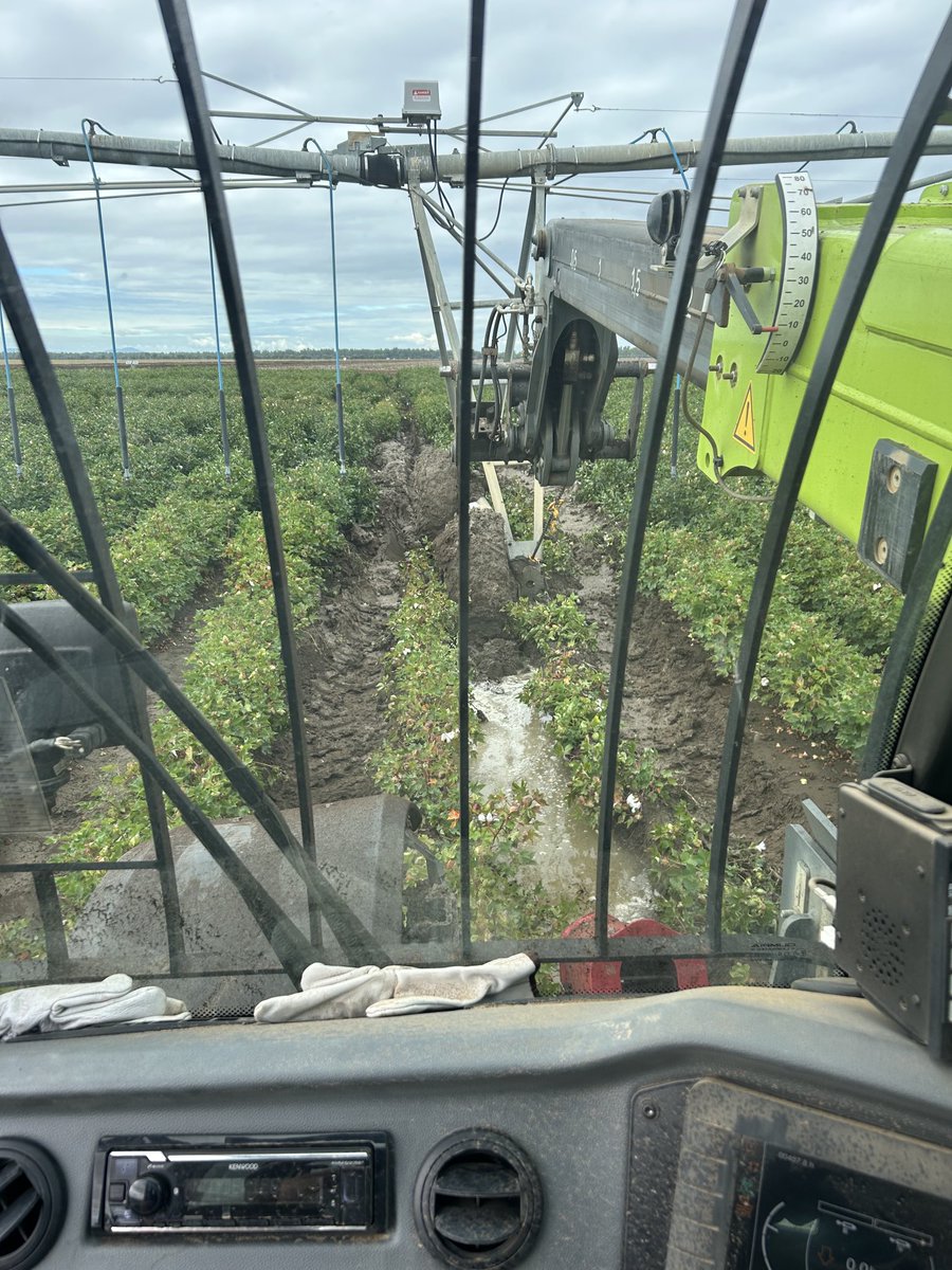 Andrew Watson tweet media