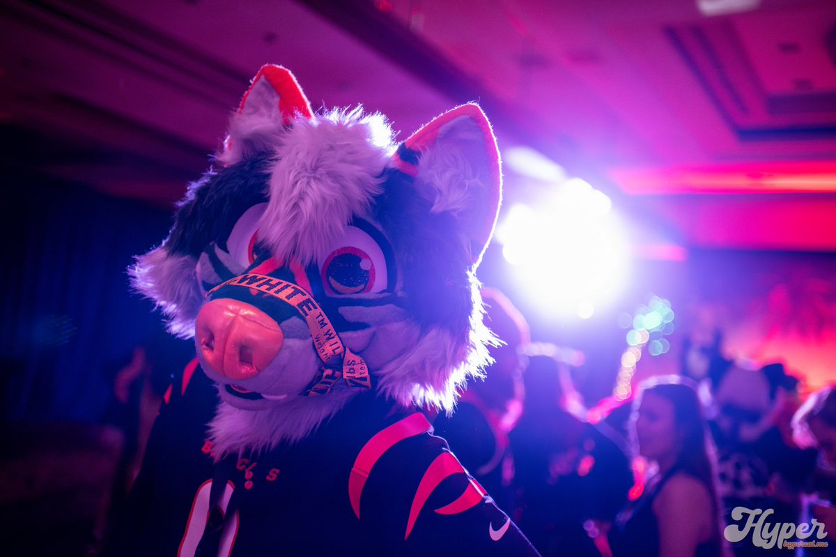 zzivaa's tweet photo. zivas a party gurl #furthemore2025 https://t.co/wxlRhCPZ4j