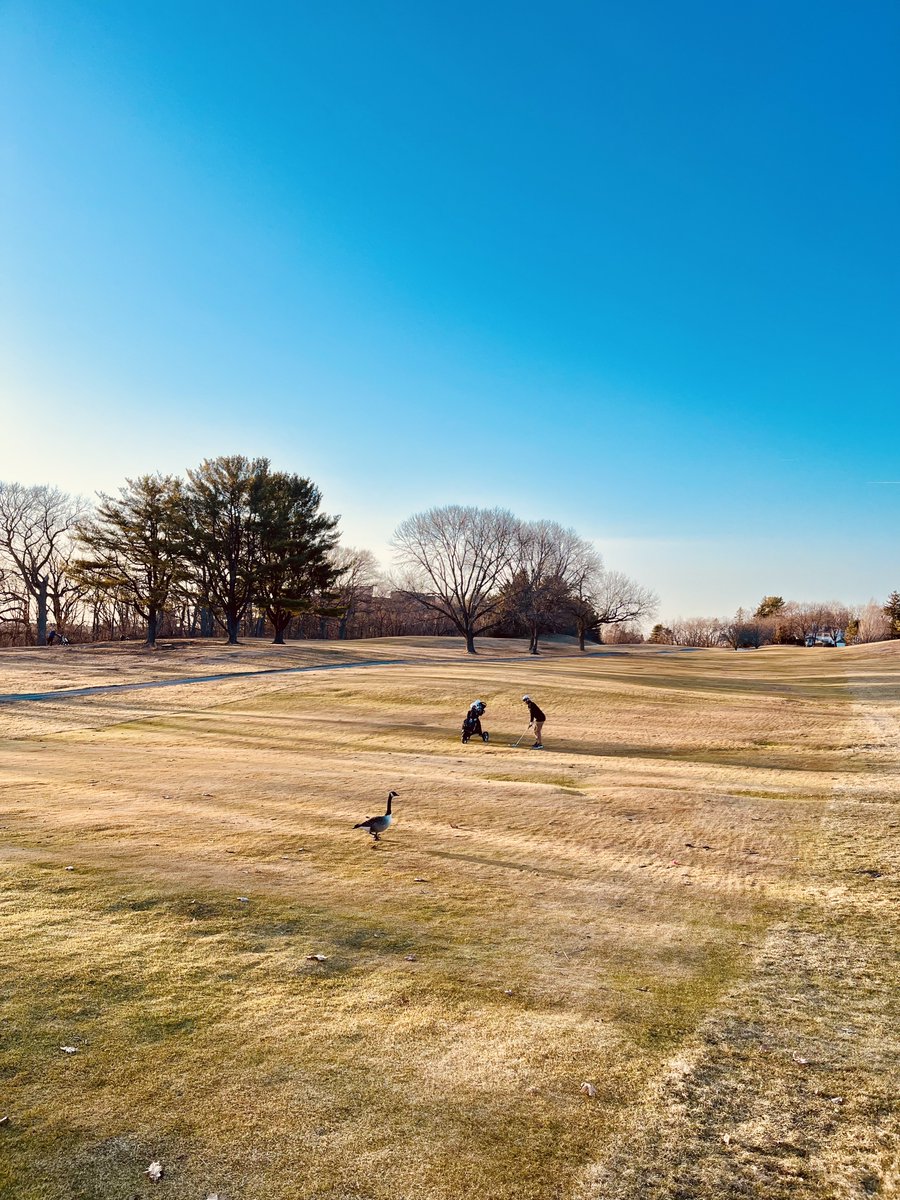 EmersonLotzia's tweet image. dare i say … we are back?