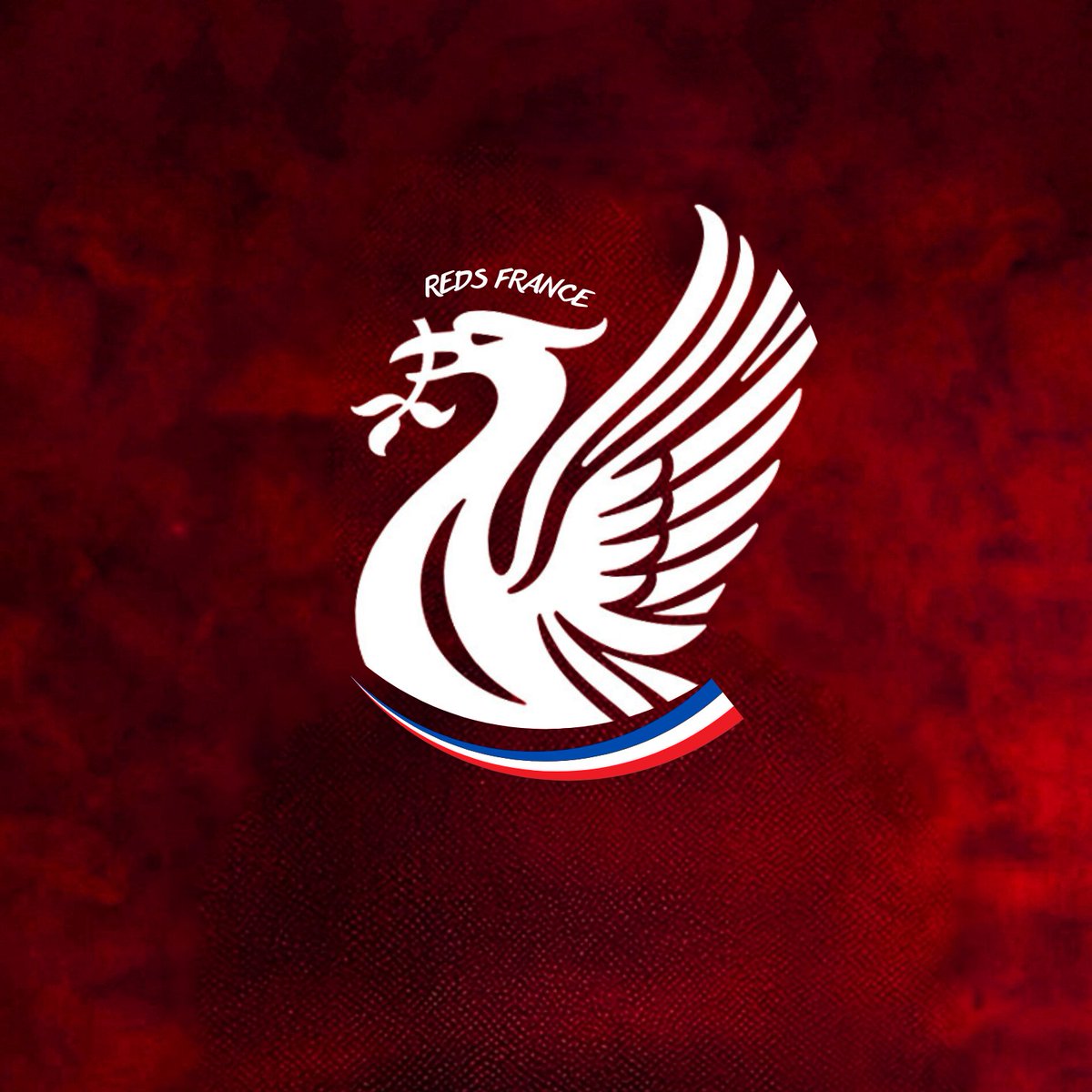 Liverpool 🇫🇷 tweet media